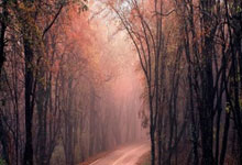 流畅反击!阿瑙托维奇左脚扫射破门,迪马尔科倒三角助攻.