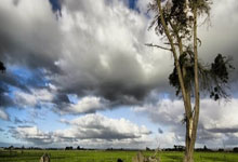 林葳劲敌现身,赵继伟不再是焦点,新对手成主角.