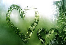 刚搭档出征大师赛便捎捷报 许永凯金羽佳印度摘亚军.