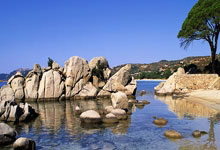 开云体育:足协杯第四轮:广西恒宸主场不敌上海海港.